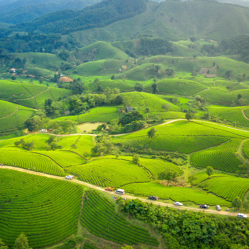 Onest Mindset - ambiance collines verdoyantes