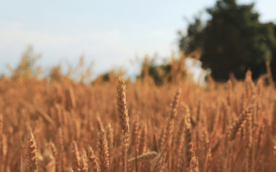 5 erreurs d’organisation qui créent du stress (et comment les éviter)