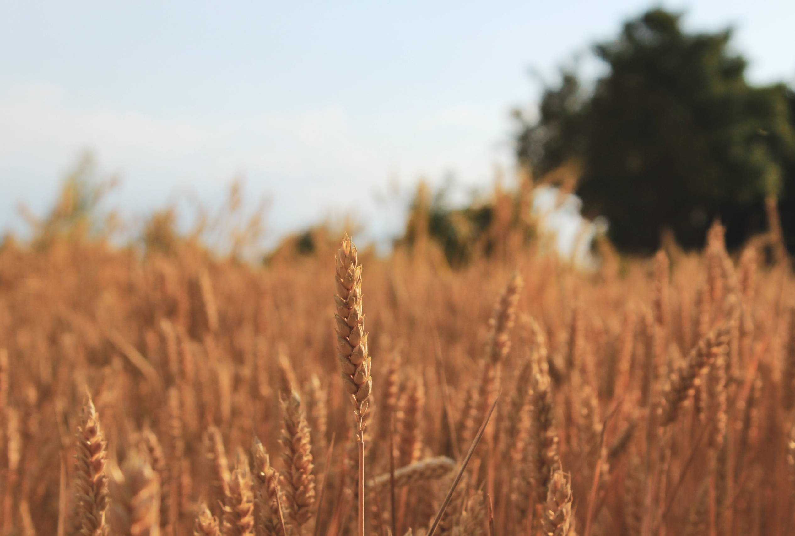 Onest Mindset - 5 erreurs d'organisation