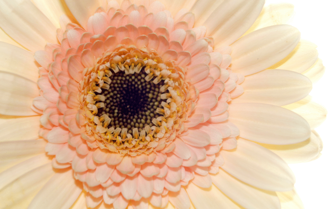 Simplifier ton organisation en 4 étapes claires