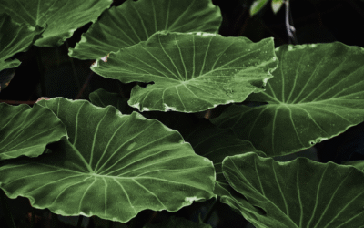 La méthode simple pour choisir sans culpabiliser