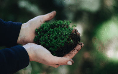 Quel projet mérite ton énergie ? 5 critères pour choisir ton prochain projet