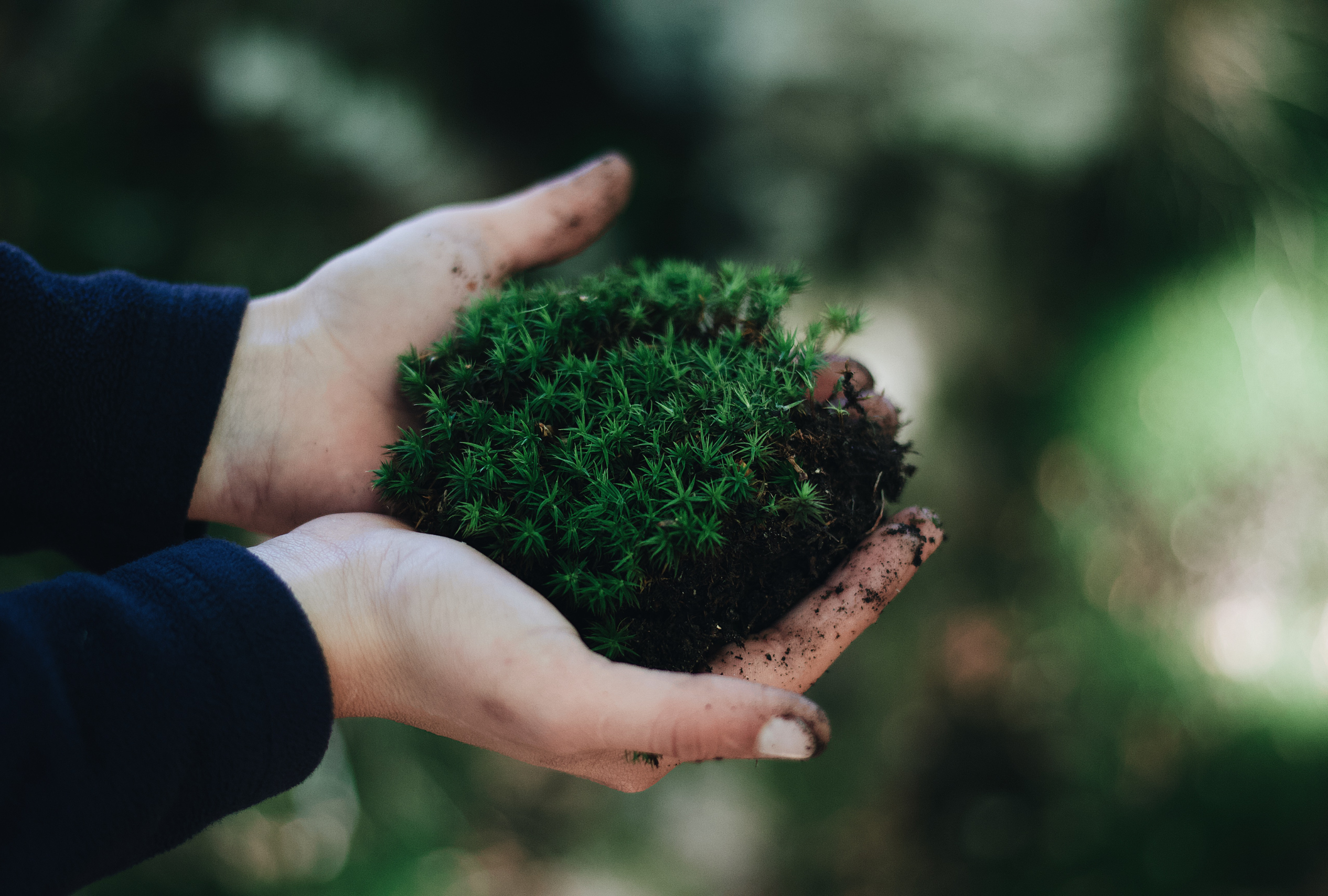 Onest Mindset - choisir ton prochain projet