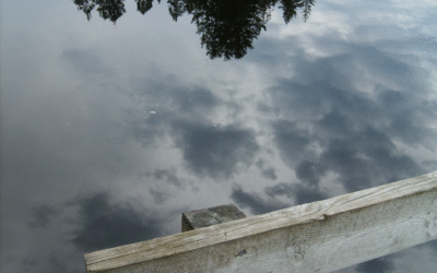 Motivation douce : avancer sans forcing ni discipline de fer