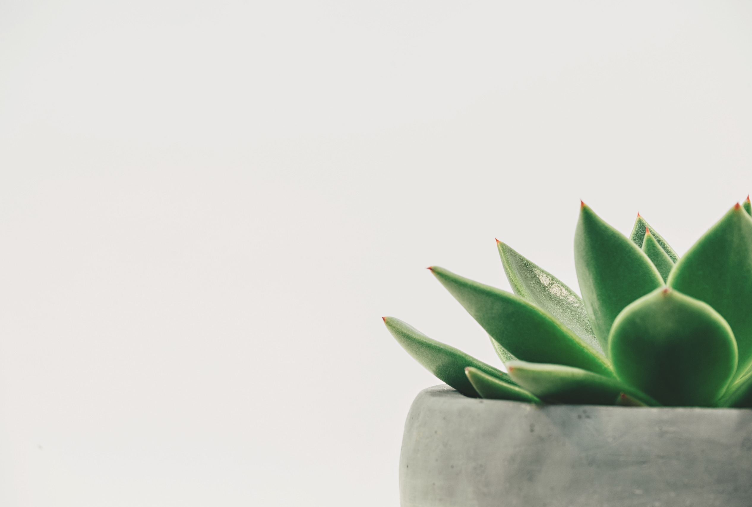 Onest Mindset - organiser son emploi du temps pour une semaine sereine