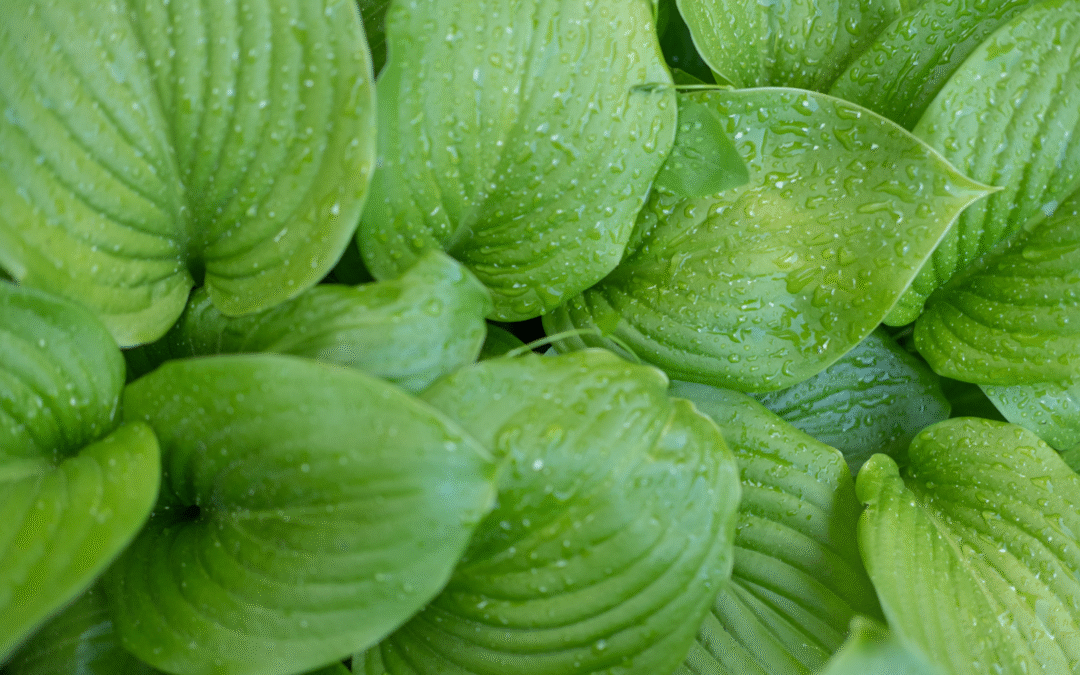 Comment s’organiser avec un TDAH : 7 stratégies qui marchent vraiment