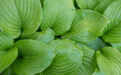 Comment s’organiser avec un TDAH : 7 stratégies qui marchent vraiment