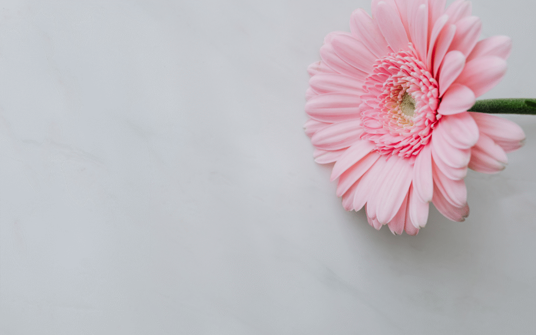 Stop aux habitudes impossibles : 4 clés pour des routines durables