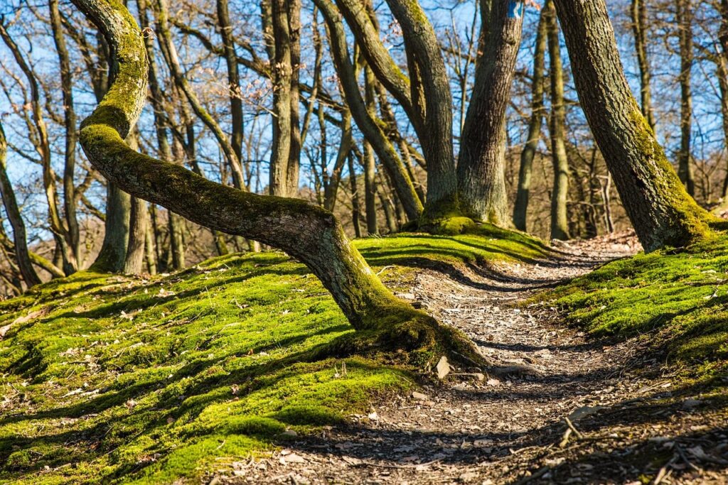 La méthode Onest Mindset du prochain petit pas t'aide à trouver le bon chemin