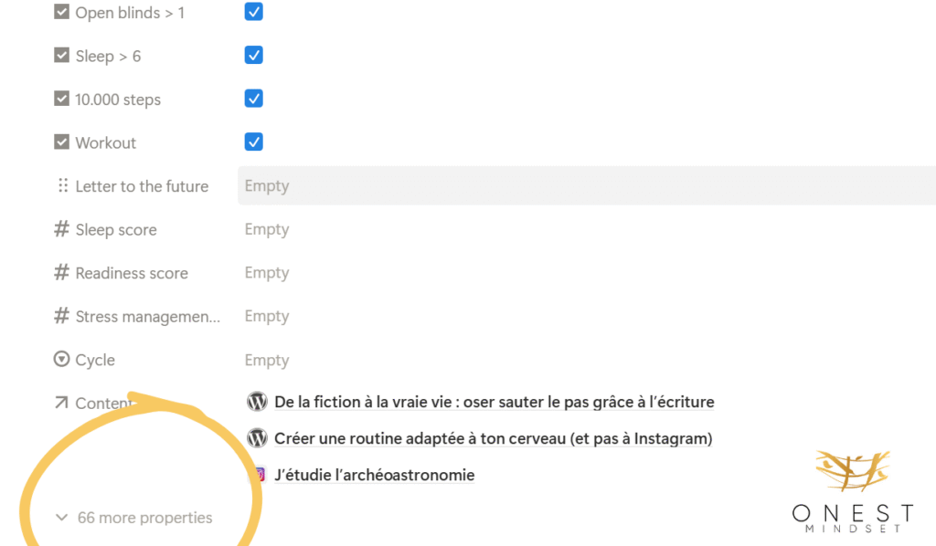 Base journal dans Notion avant organisation fluide