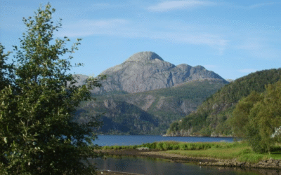 4 clés pour une organisation fluide