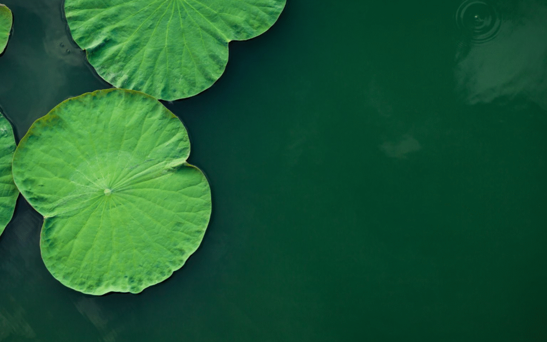 Décider sans regret : 3 exemples concrets