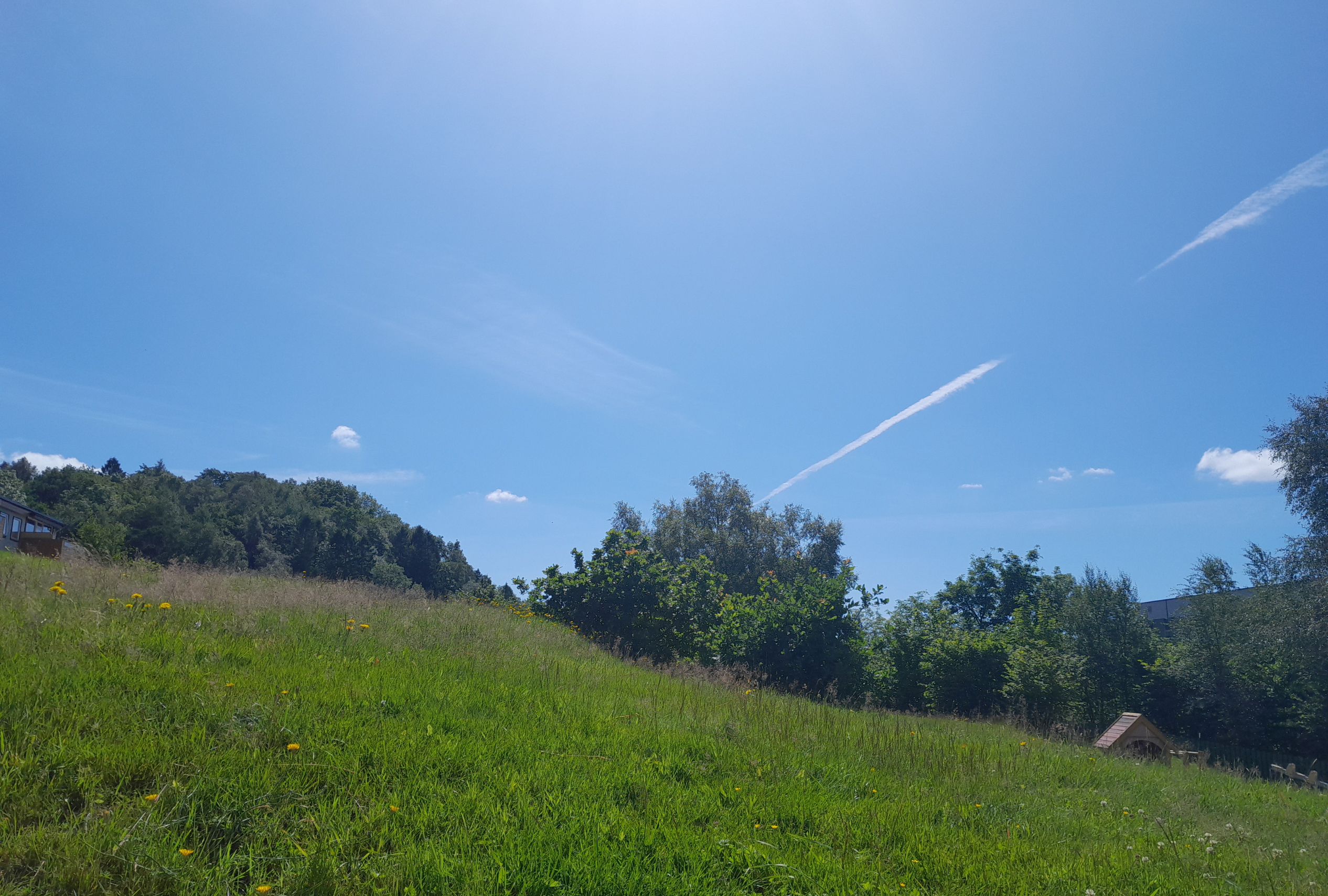 Onest Mindset - La charge mentale du loisir