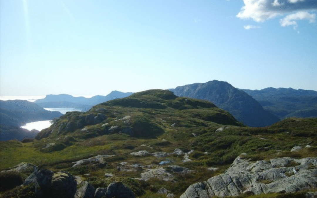 Simplifier ta semaine, c’est créer de l’espace pour respirer