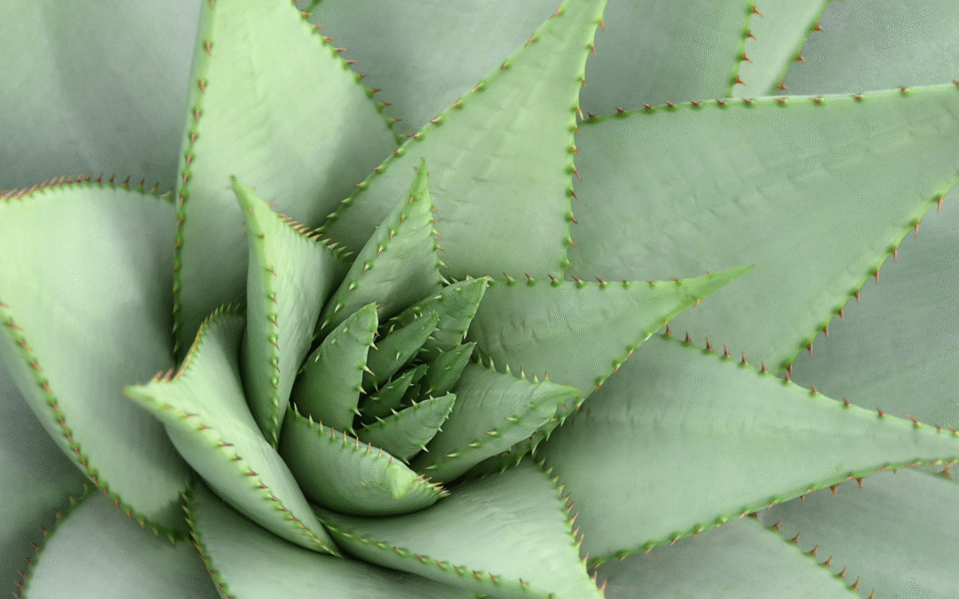 Créer de la place pour tes loisirs sans culpabilité : 4 étapes simples