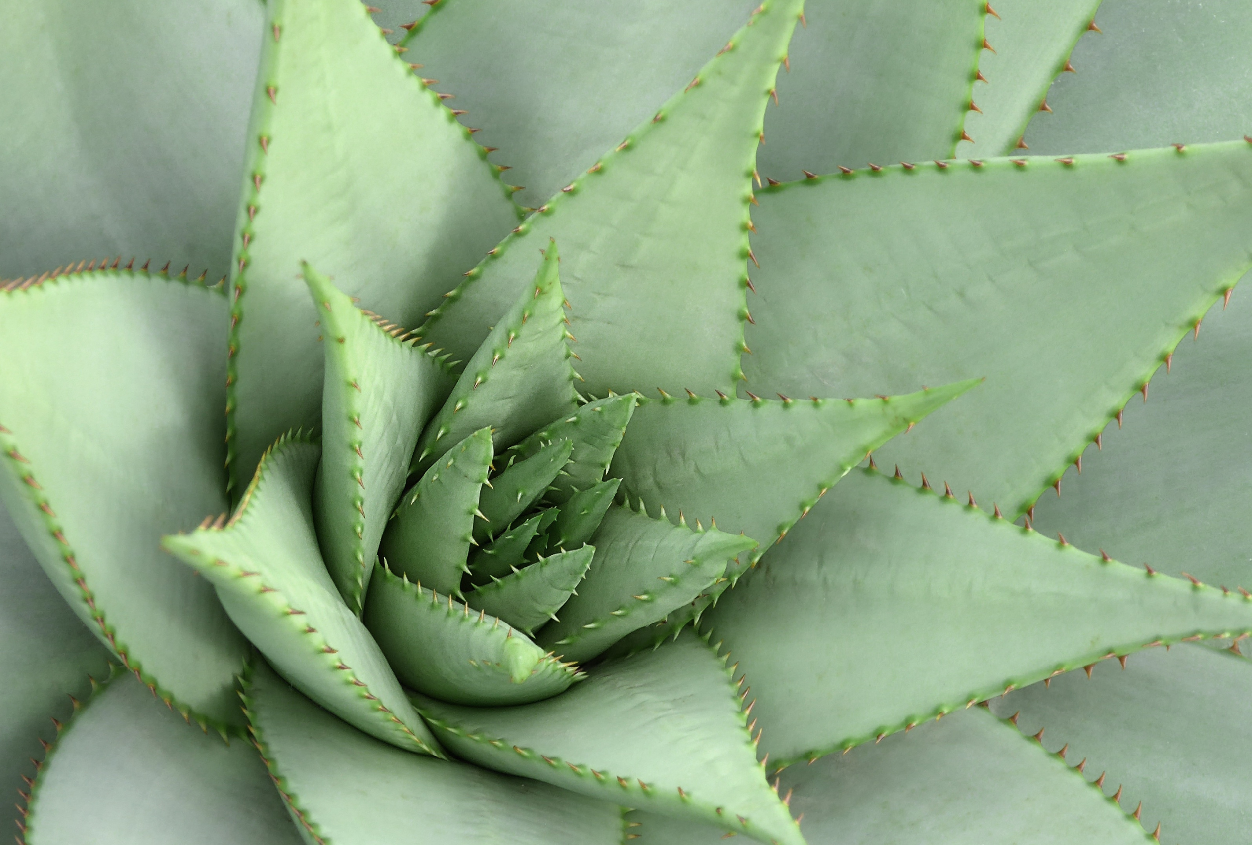 Onest Mindset - créer de la place pour les loisirs sans culpabilité