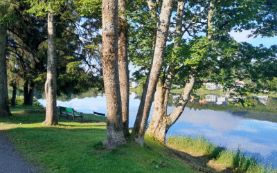 Le piège du perfectionnisme : vouloir finir à tout prix