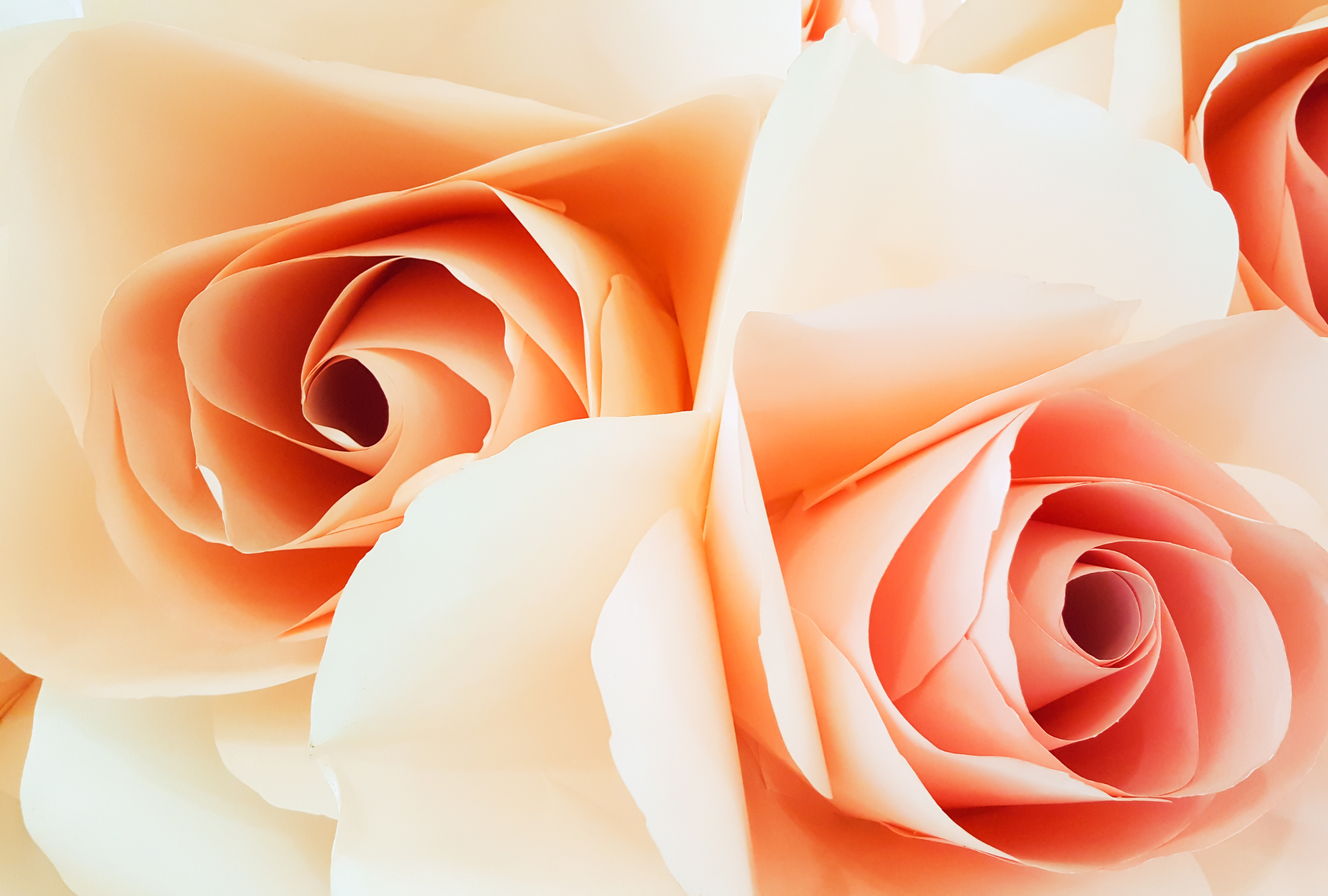 Onest Mindset - pensée limitante _ je n'ai pas le temps