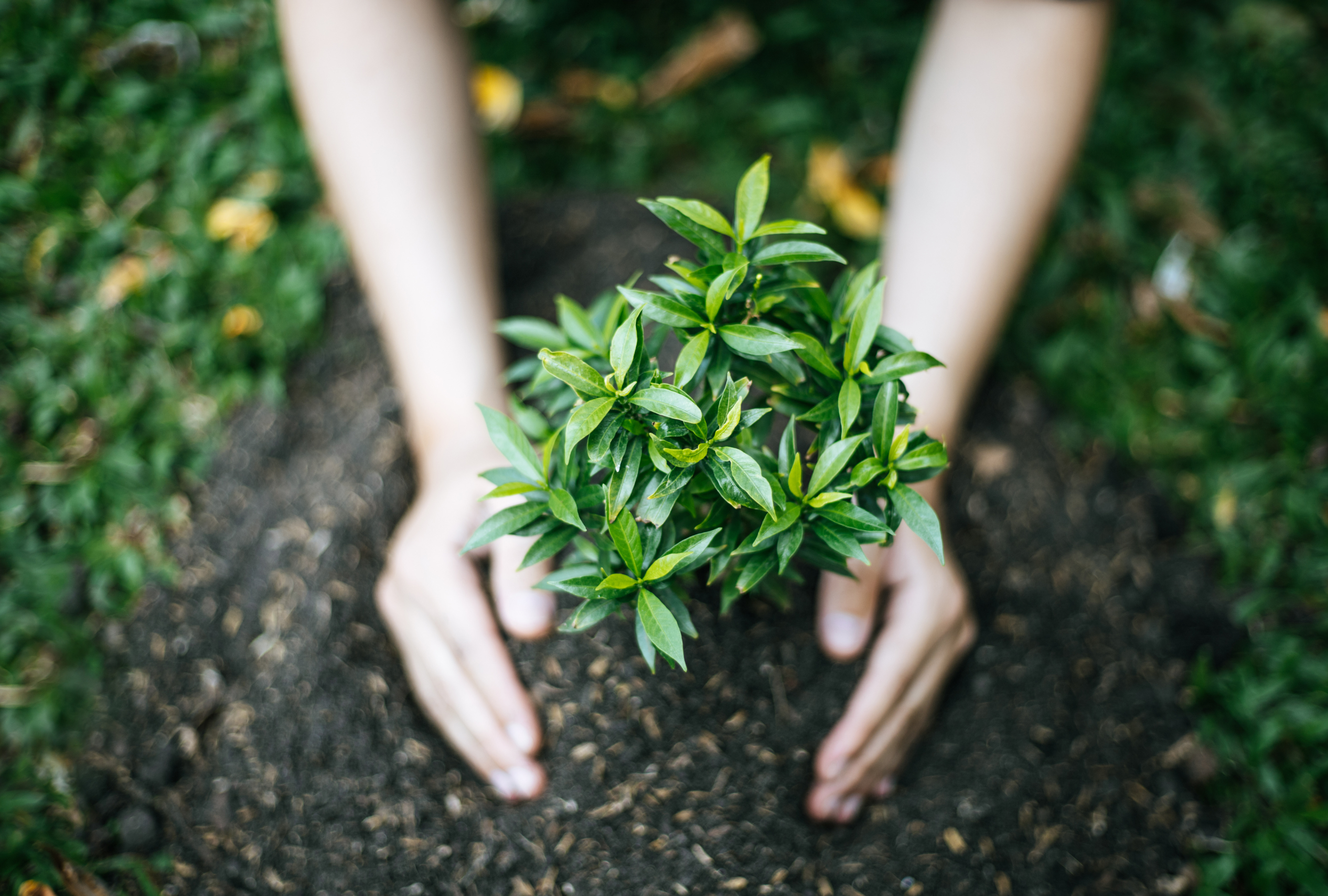 Onest Mindset - arrête de subir ton agenda (KonMari)