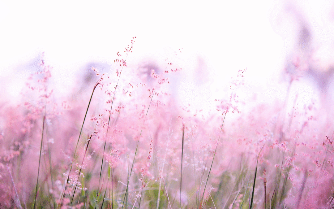 Dépasser ses pensées limitantes en douceur