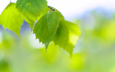 De la contrainte au choix : transformer ton “je devrais” en “je choisis”
